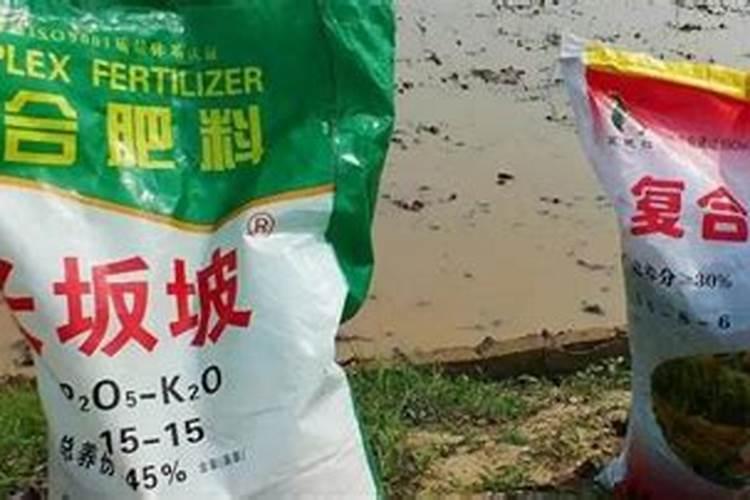 你了解钙肥吗,钙肥怎么选？什么时候用？怎么用？