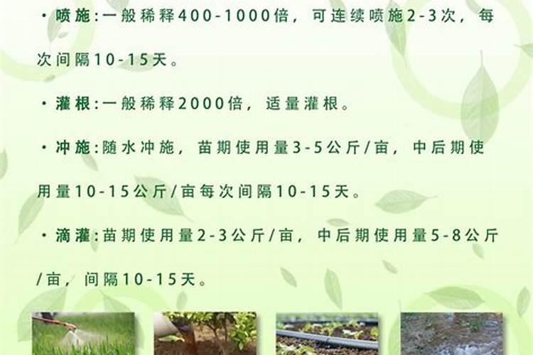 花卉叶面肥使用方法