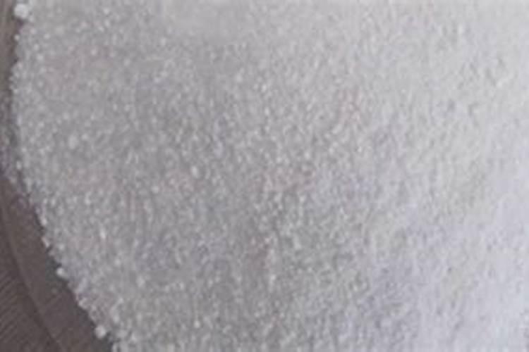 墨兰花的养殖方法和注意事项;墨兰花用什么土栽培最好