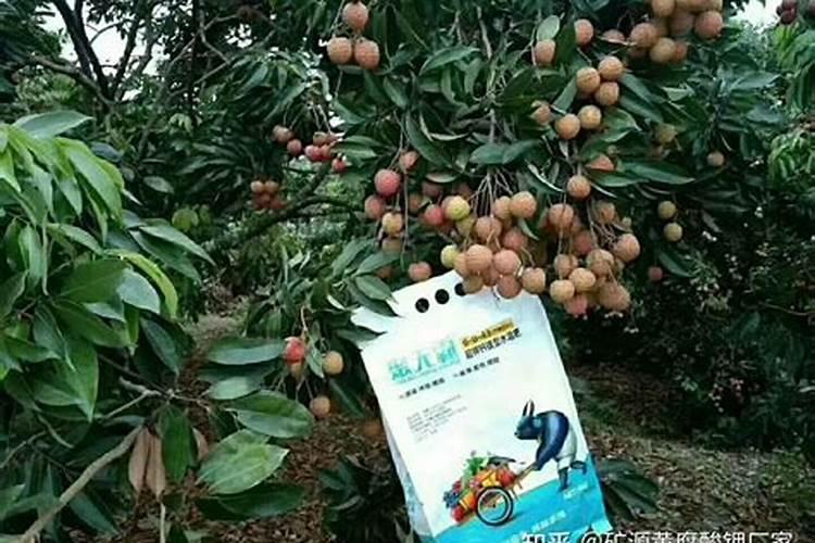 化肥品牌,那个品牌在河北销售最好