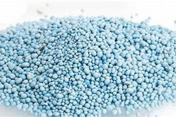 松树适用什么肥料？