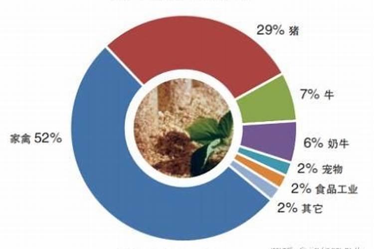 豆粕和花生粕那个营养价值高