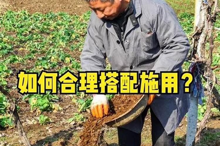 烤烟怎样种植才可以高产呢？有什么好的建议吗？