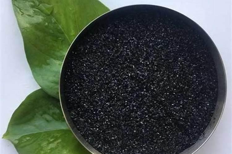 月季花怎么施肥