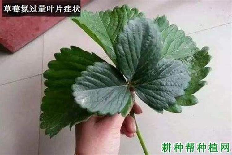 ...但又担心吃钙片会便秘,有没有什么好的建议？