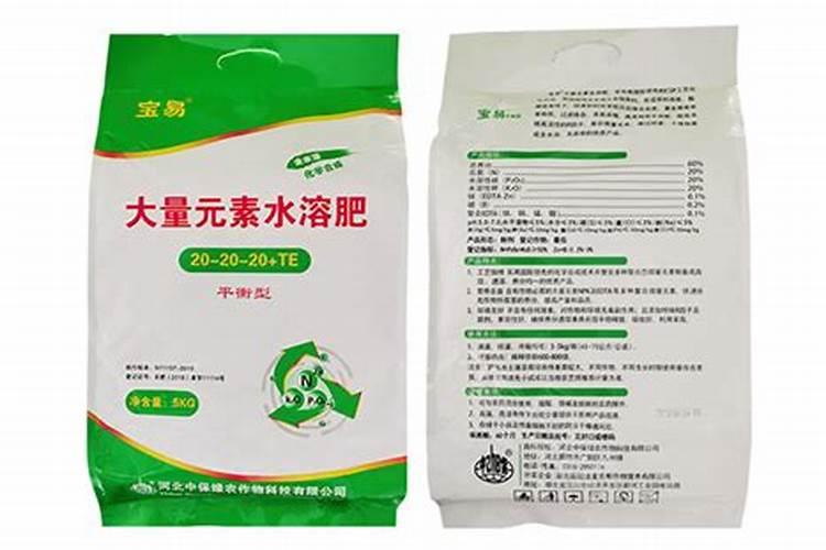 茶花什么时候施肥