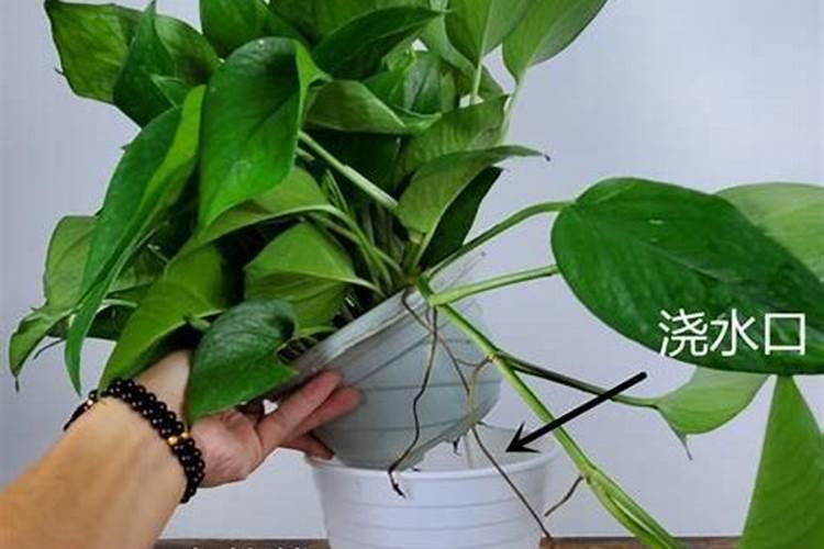 石家庄正达生物科技有限公司产品质量怎么样