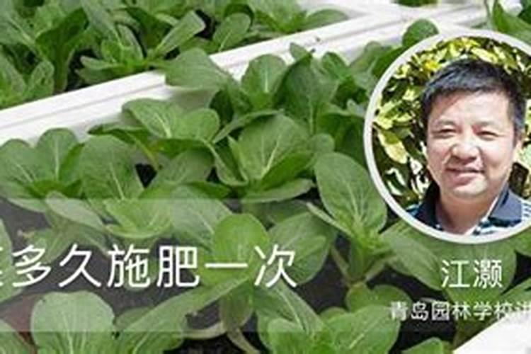 李子树什么时候打药,李子不受虫害？打什么药效果好
