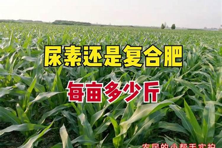 202020水溶肥配方计算(大量元素水溶肥配方表)