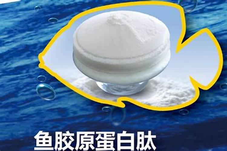碳酶海藻鱼蛋白什么时候使用最好
