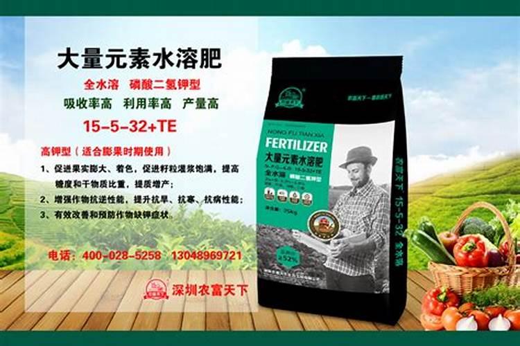 茶花施什么肥最好