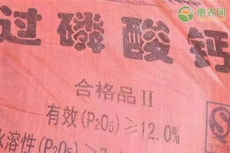 茶花施什么肥最好