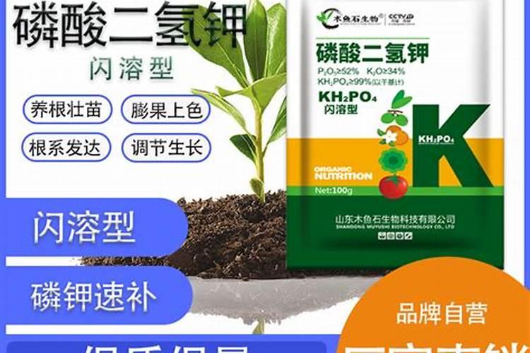 颗粒水溶肥巧棵力在什么作物上用效果好？