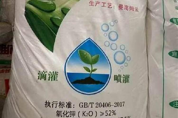 葡萄施钾肥时间和方法