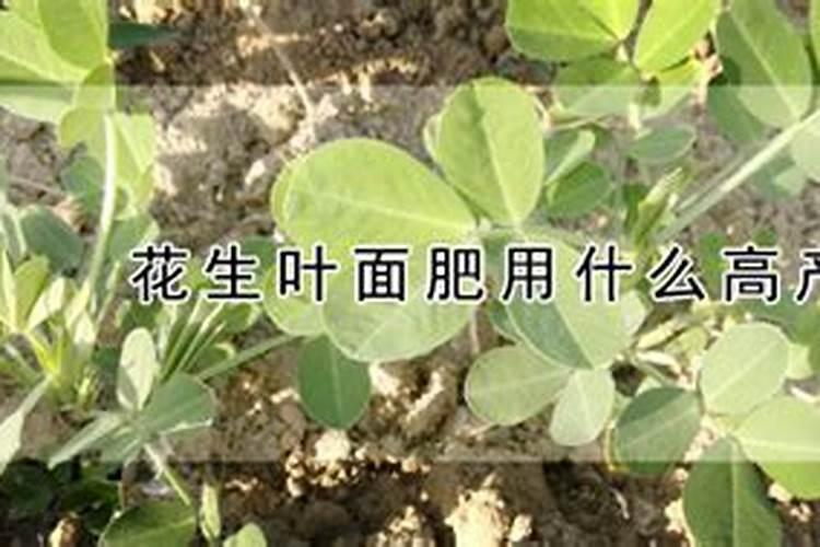 番茄苗期最需要什么肥料