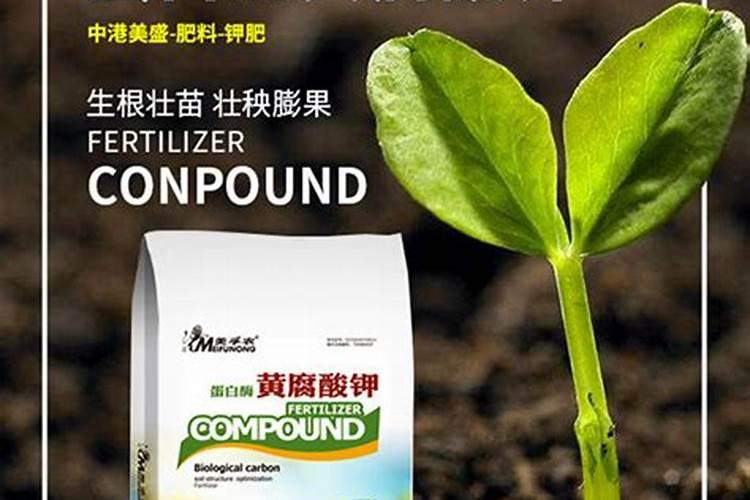 柑橘每亩施多少黄腐酸？