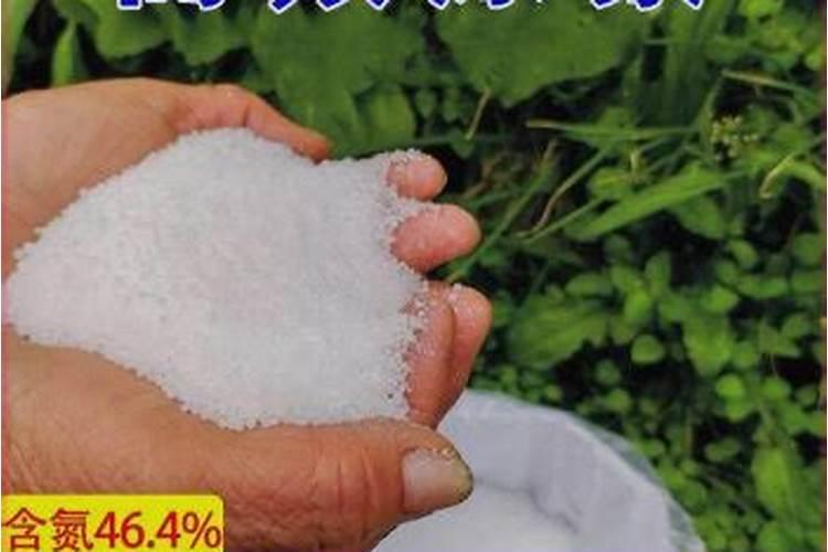 尿素施肥的浓度一般是多少,种菜一般用尿素肥还是复合肥
