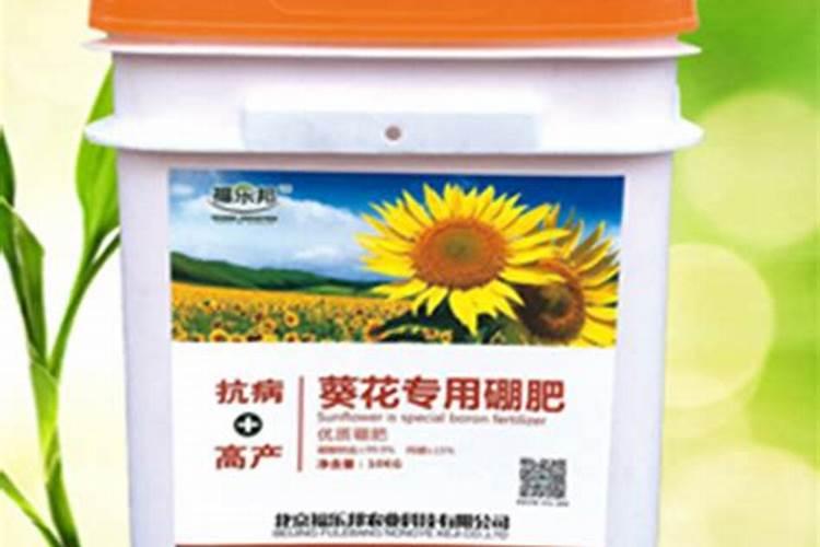 什么类型的叶面肥能有效增厚植物叶子？