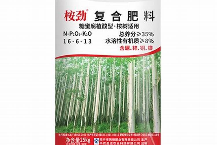 桉树苗种植时候根弯还可以长的直吗？