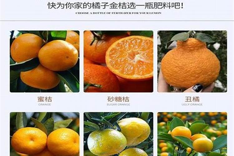 种油菜籽用什么肥料最好 栽油菜施什么肥产量高