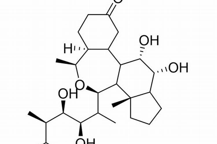 芸苔素14,24,28的区别是什么？
