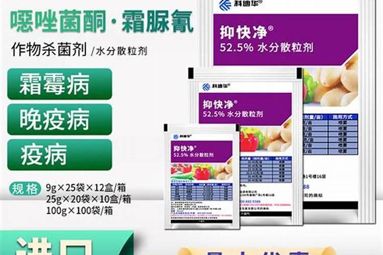 大葱干尖黄叶特效药