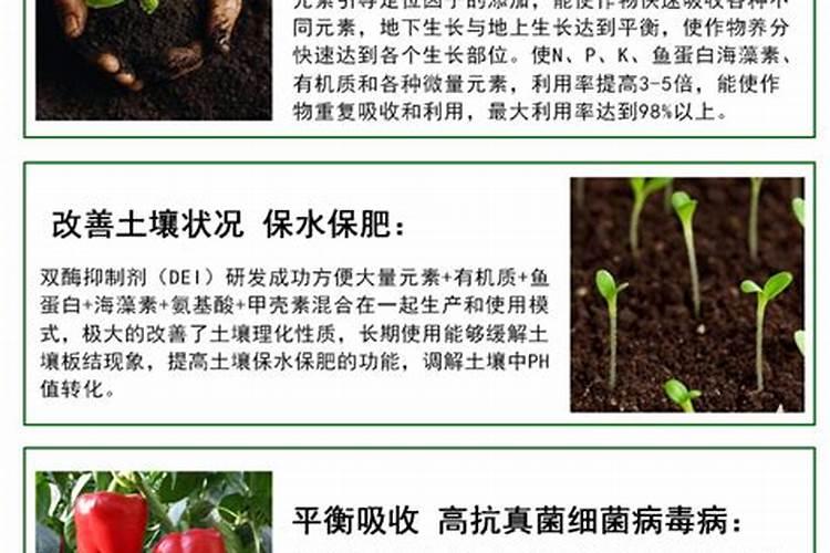 十三元素叶面肥有哪些元素