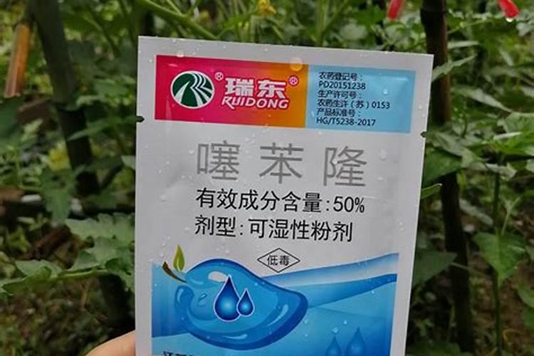 莴笋膨大长粗用什么肥或药