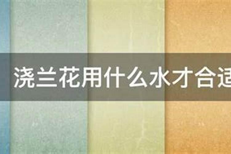 果树什么时间浇水最好呢