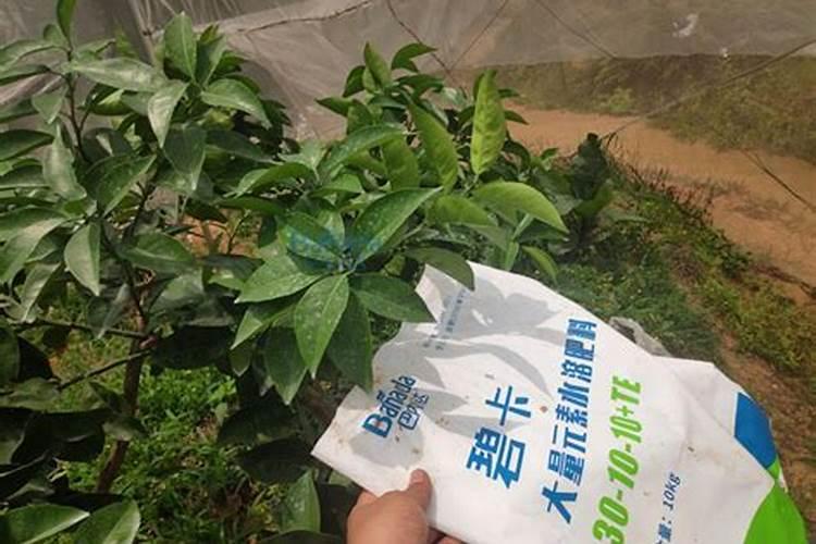 芸苔素内酯和复硝酚钠哪个好(两者有什么区别)
