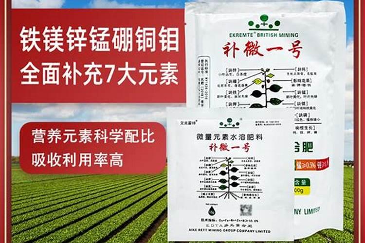 小麦返青后如何管理？该怎样施肥？