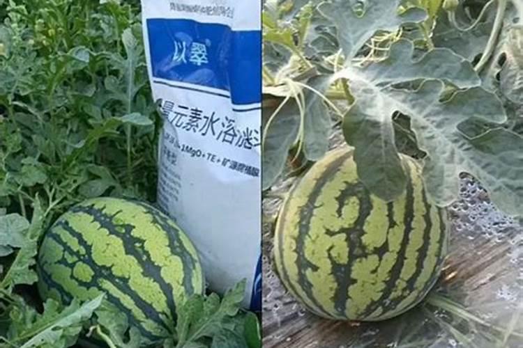 西瓜施什么水溶肥？