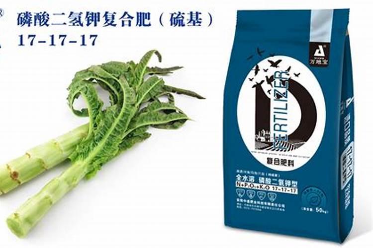莴苣浇水施肥正确方法 莴苣的养殖方法和注意事项