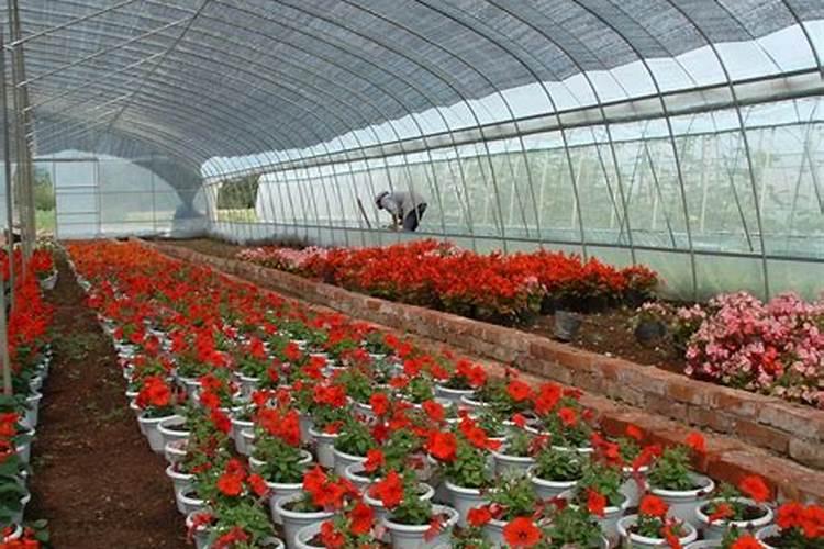 潍坊弗兰德肥料有限公司怎么样？
