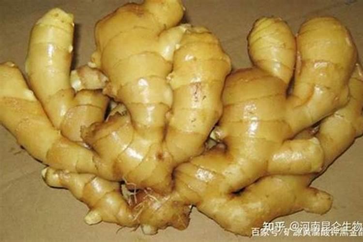 生姜用什么肥料好