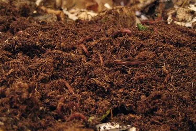大豆苗后除草剂什么时候打
