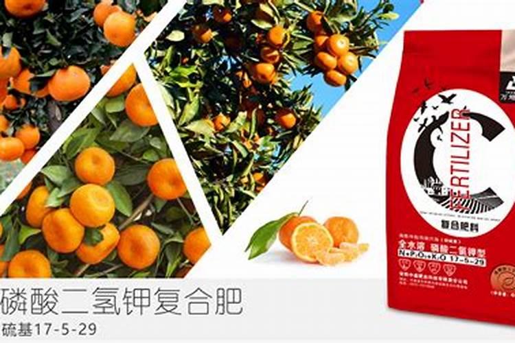 橘子施什么肥最好