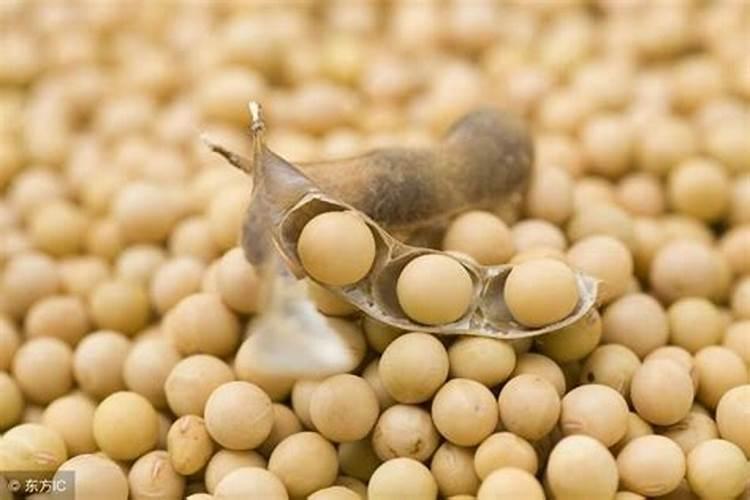 大豆用什么肥料最旺盛