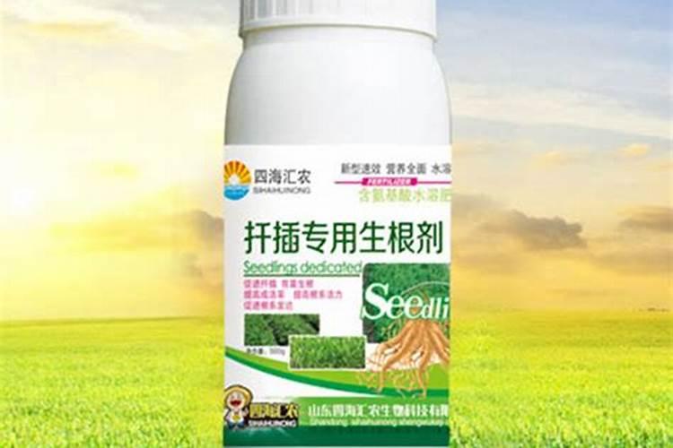 槟榔得了什么病,喷啥药