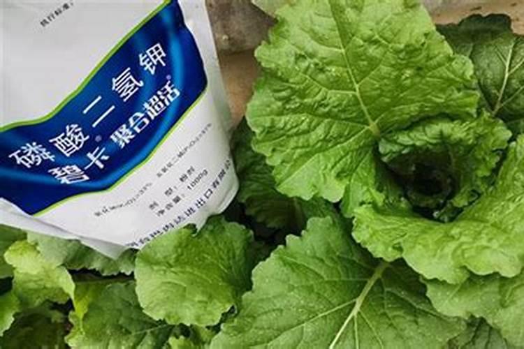 总磷、有机磷、无机磷有什么不同之处吗？