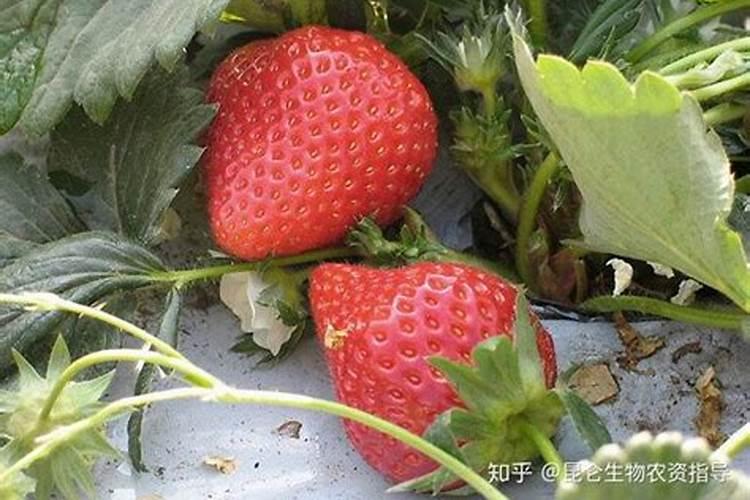 你觉得集齐元素周期表所有元素需要多少钱？