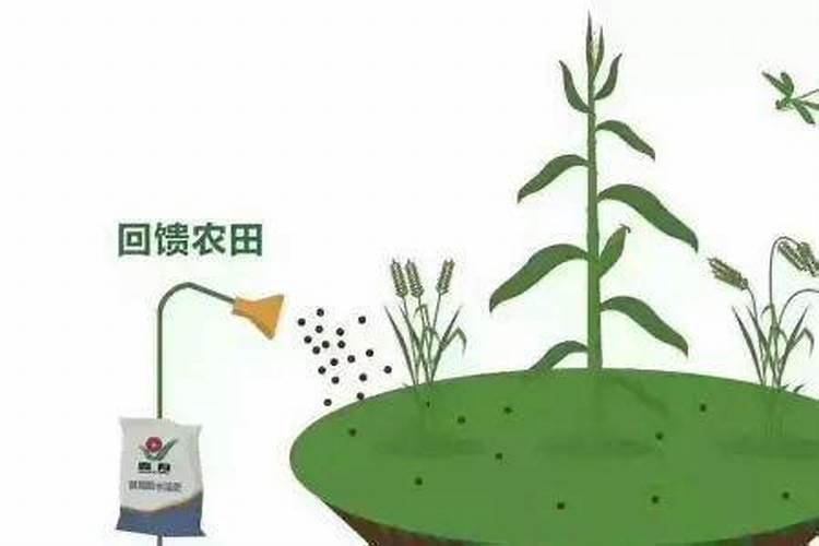 腐殖酸肥料的效果是什么？应该如何使用？