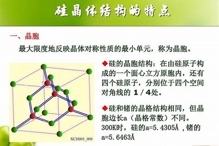 抗冻蛋白的工作原理是什么？