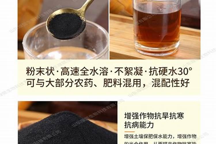 多菌灵可以浇月季花吗？