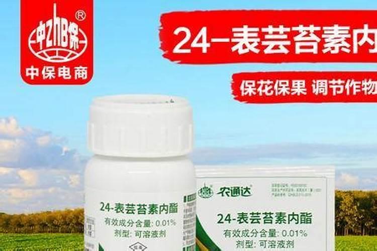 红薯专用肥最佳配方