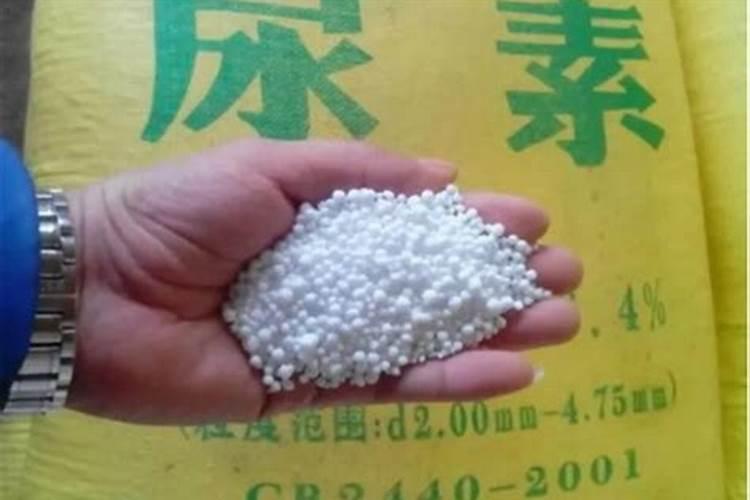 钙镁肥的正确使用方法