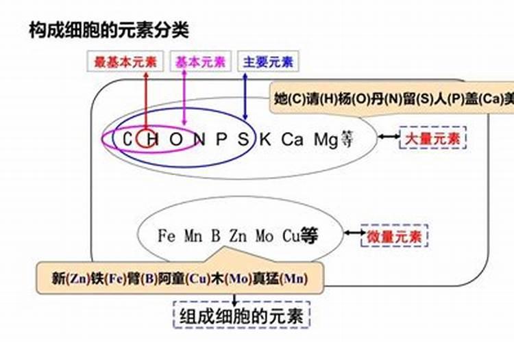 生物中Na元素是微量元素还是大量元素？原因是什么？不要告诉我说是常量...