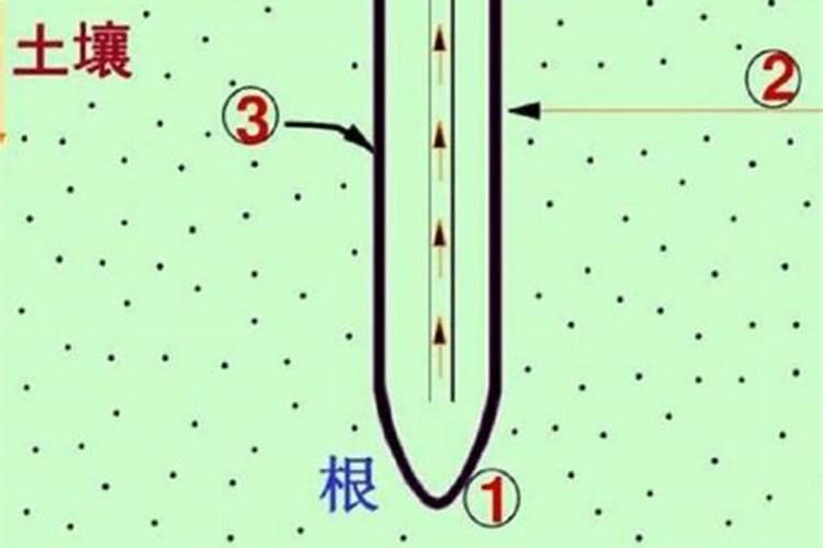 水溶肥会不会失效