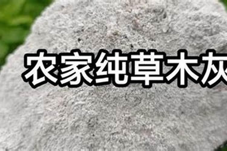 如何让农作物正确地用上草木灰
