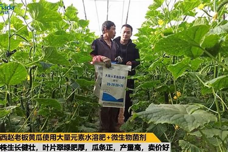 家庭用的一桶水多少斤
